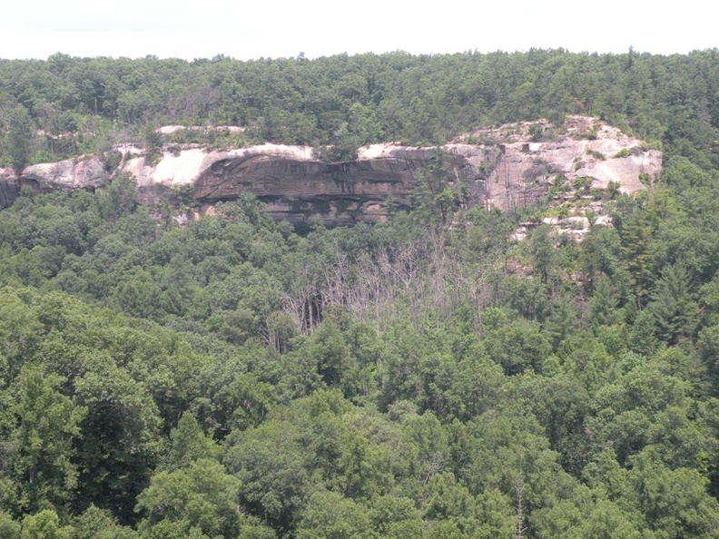 Gladie Creek, Red River Gorge